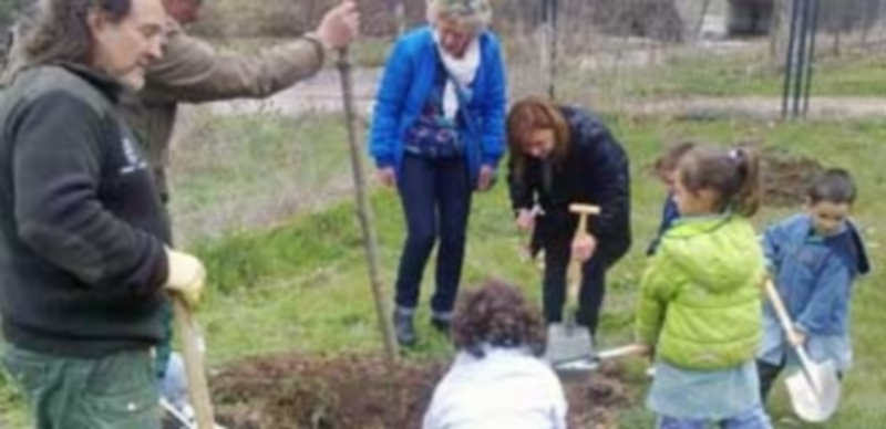Uno de los momentos de la plantación de un árbol en las actividades organizadas por la Concejalia de Medio Ambiente en el día forestal. / El Adelantado