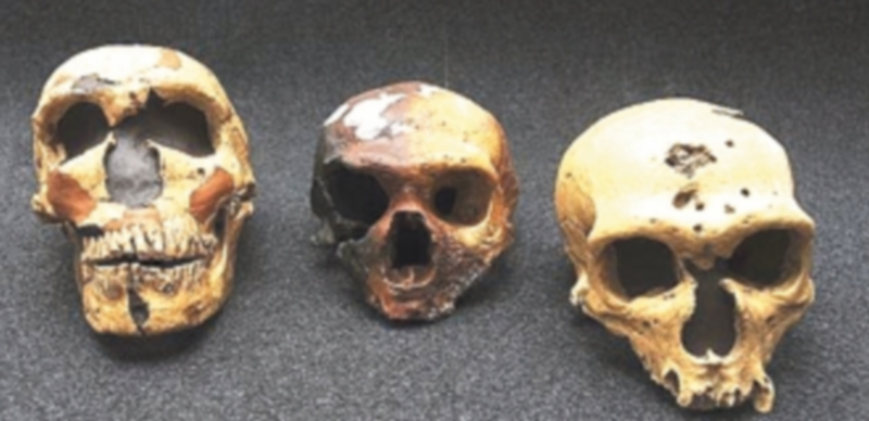 La Secretaría de Cultura enviará ayudas para el estudio del Homo Sapiens en Tanzania 1 Las ayudas ascenderán a 430.000 euros para proyectos arqueológicos. / EFE