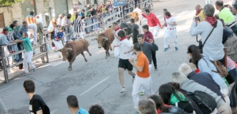 Un encierro perfecto cierra el ciclo cuellarano con un balance muy positivo 1 El encierro a su paso por la Avenida de los Toros