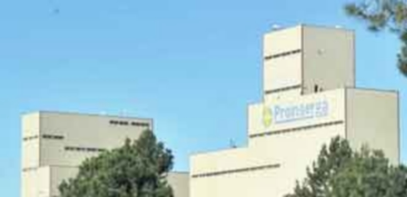 Las fábricas de pienso de Fuentepelayo centran casi la única actividad productiva de Proinserga. / el adelantado