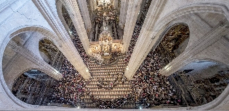 Una fiesta para sentir 1 4 1kama8 2