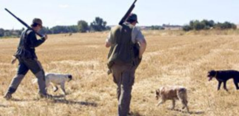 La licencia de caza ha subido en Castilla y León un 60% desde el pasado 1 de enero. / Ical
