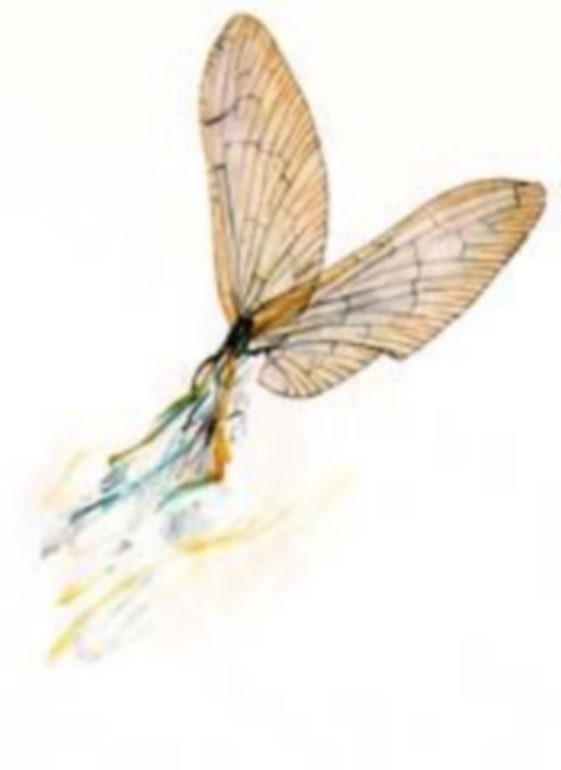 Una de las obras que puede verse en la exposición mexicana del artista segoviano. / El Adelantado.