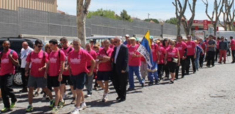 El grupo de andariegos recorrieron juntos los últimos kilómetros hasta la Plaza Mayor. / M. Galindo
