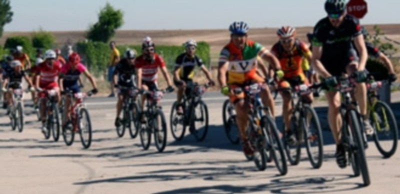 Diversas imágenes de la jornada desarrollada por el Sexmo de La Trinidad