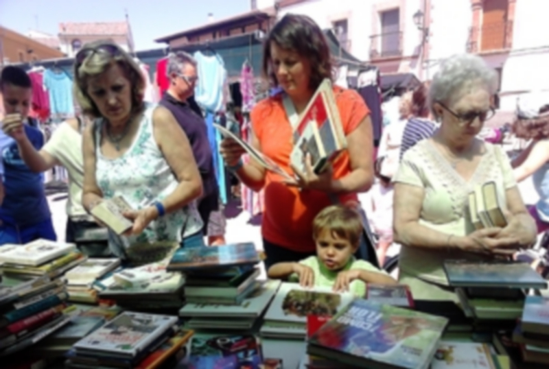 Los vecinos de Fuentepelayo pudieron comprar interesantes libros para ayudar a una causa solidaria. / El Adelantado