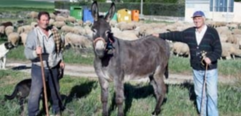 José Ignacio López