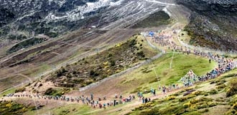 El verano en la montaña 1 Imagen de una de las pruebas deportivas en bicicleta de montaña que se realizan en las inmediaciones de la estación de esquí de Navacerrada cada verano. / El Adelantado