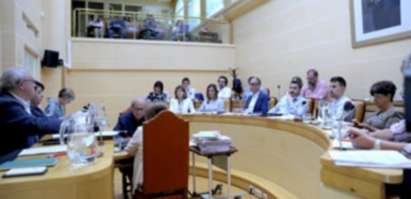 Los ciudadanos pueden seguir los plenos del Ayuntamiento desde una tribuna reservada para ellos. / KAMARERO