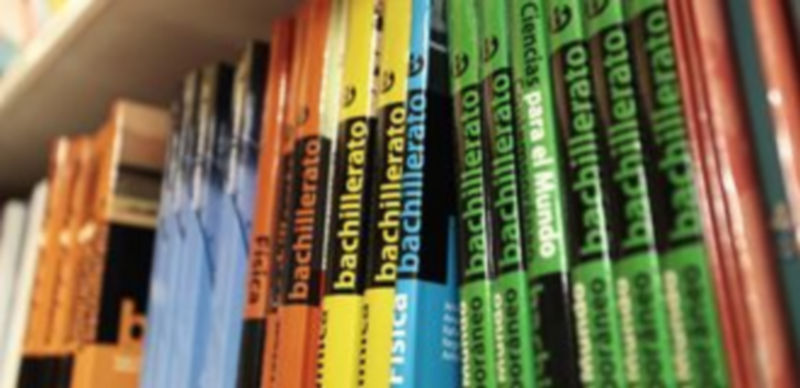 Educación no ha publicado la convocatoria de ayudas para la compra de libros del curso iniciado. / Lara Mazagatos