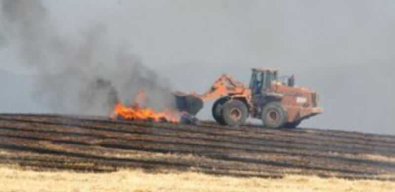 El fuego devastó una gran superficie agrícola