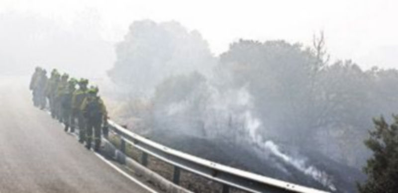 Controlado el incendio de Cebreros tras arrasar un millar de hectáreas 1 Miembros de la cuadrilla de extinción de incendios del Puerto de El Pico recorren la carretera AV-562