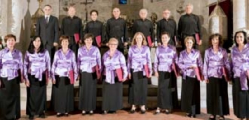 Fin de semana de recitales 1 Imagen grupal de la Rondalla de Pulso y Púa ‘Taller Cultural de Fuentepelayo’. / El Adelantado