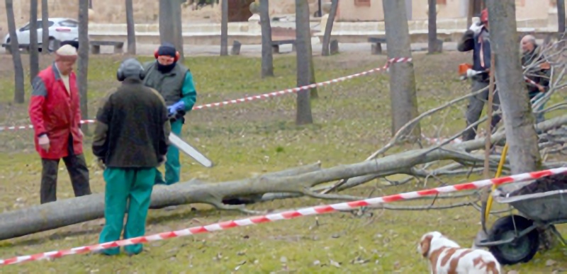 Los Jardineros de la Unidad Especial llevan varios años desarrollando su labor en las áreas naturales de Segovia. / E. A.