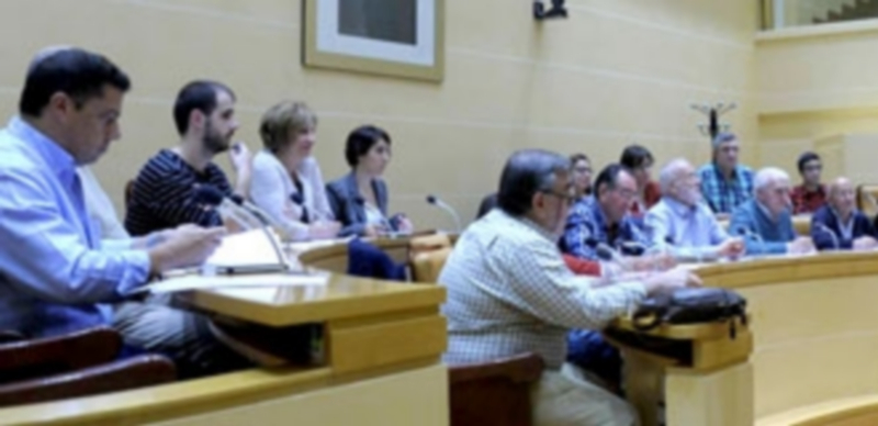 El primer consejo sectorial en constituirse fue el de Participación Ciudadana. / K.