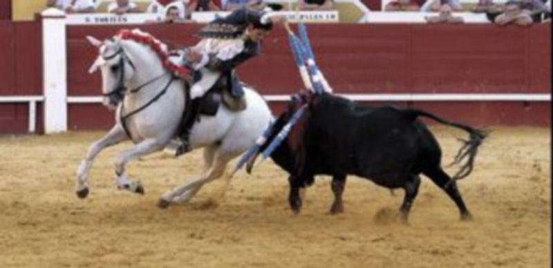 El rejoneador lusitano Pablo Jorge Santos fue el triunfador de la novillada mixta./ Enrique Madroño