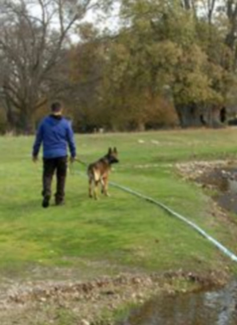 Los vecinos ven con alivio la pronta resolución del caso de la desaparecida 1 Lugar de Lastras del Pozo donde aparecieron los restos. / E. A.