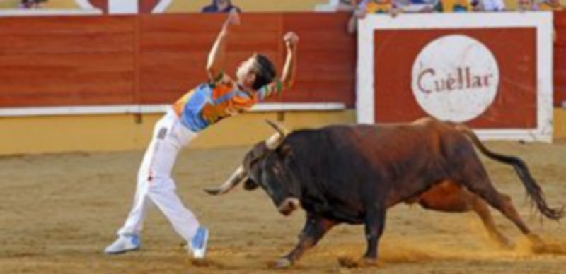 7 corte concurso cortes2012 ggg 18821 1