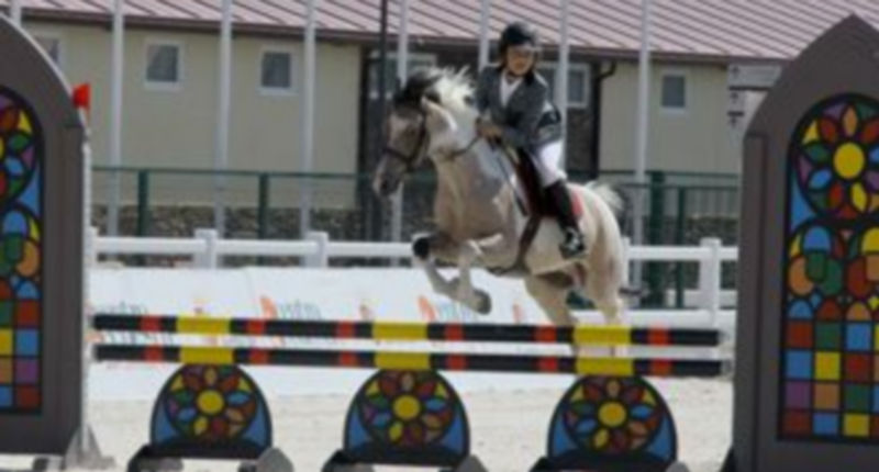 Las actividades deportivas y formativas relacionadas con el caballo han tenido una gran acogida. / El Adelantado