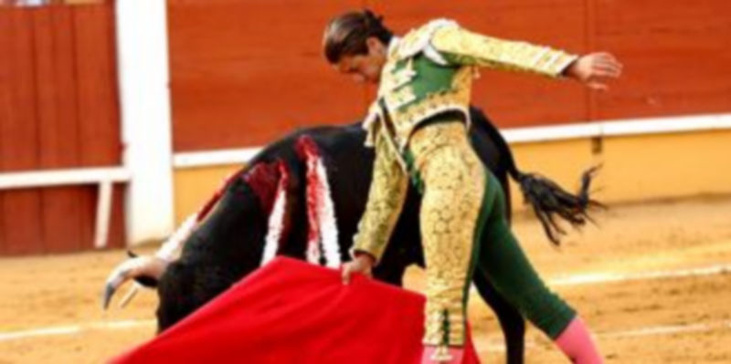 Gallo Chico mostró maneras muy toreras que gustaron al público. / A. Benavente