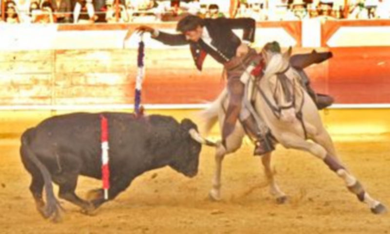 Diego Ventura toreó magnificamente a caballo y falló con el rejón de muerte. / Leandro Valdez