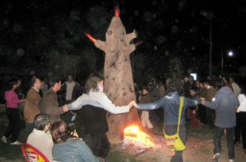 Existen ya árboles similares en La Higuera y Bernuy de Porreros