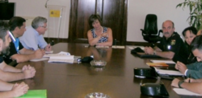 Las distintas organizaciones colaborarán durante los días festivos para cubrir todos los eventos programados. / EL ADELANTADO