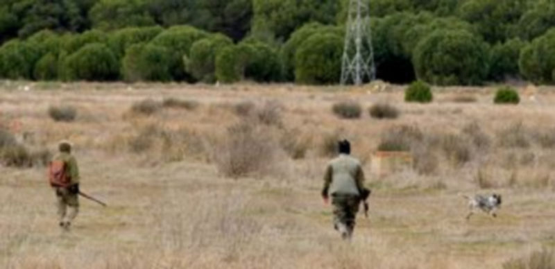 La caza menor centró en 2012 el mayor porcentaje de denuncias instruidas por la Guardia Civil. / Ical