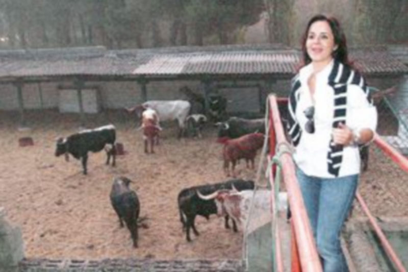Silvia Clemente durante la visita a las reses del encierro instantes antes de su salida de los corrales. / Gabriel Gómez