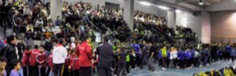 Las gradas del pabellón Agustín Fernández se llenaron de padres y familiares de los jugadores. / Juan Martín