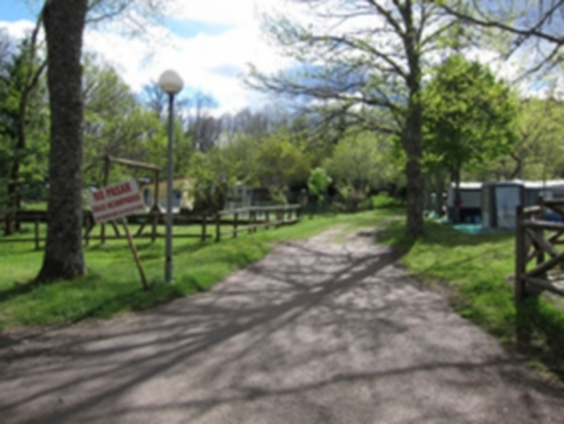 Un total de 86.022 viajeros ocupó los campings de CyL en agosto (3,79%) con una estancia media de 3,13 días 16 En agosto se computaron un total de 269.453 pernoctaciones en los campings turísticos de la región. / E.P.