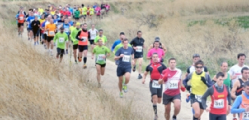 Un momento de la carrera que se celebró en la jornada de ayer en Cabañas de Polendos. / Kamarero