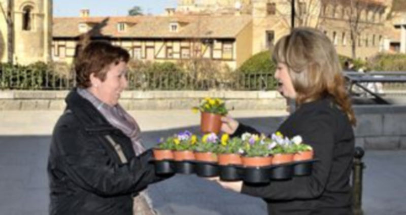 Dirigentes de CCOO repartieron flores entre las mujeres segovianas. / KAMARERO