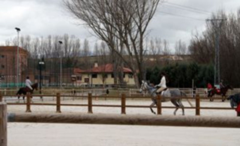 Más de 3.400 caballos y 1.700 jinetes participarán a lo largo de 2011 en el desarrollo de actividades escuestres en el Centro de Segovia./ EL ADELANTADO