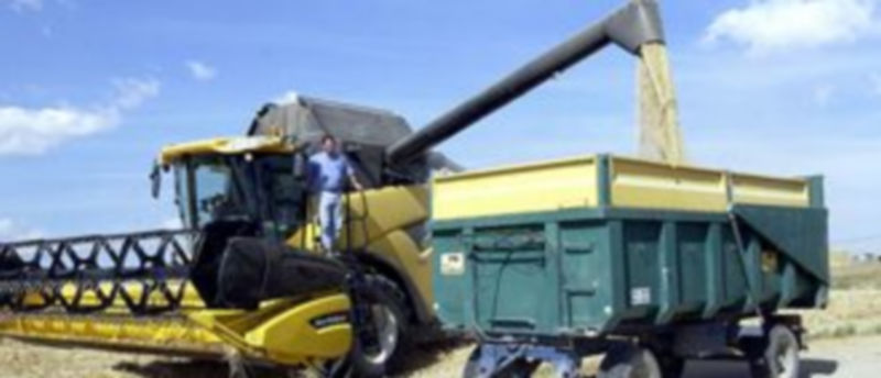 COAG y UPA creen que en ningún caso la cosecha de cereal alcanzará este año los cinco millones de toneladas. / Peñalosa