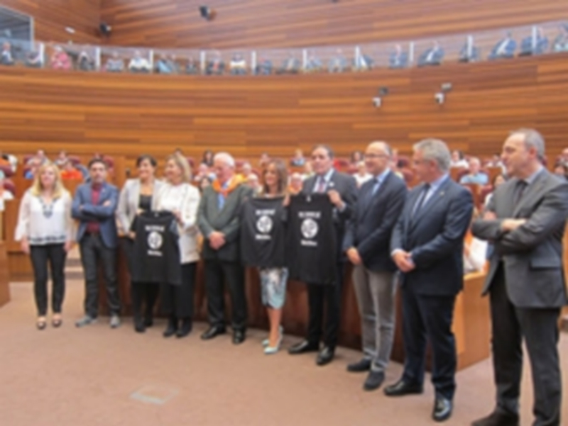 La presidenta de las Cortes Silvia Clemente