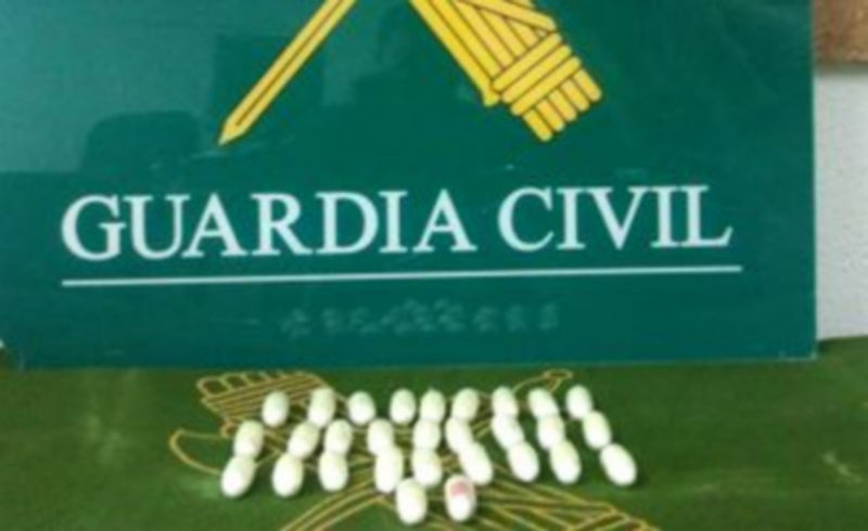 Tres hombres detenidos con 350 gramos de cocaína en bellotas 1 coca