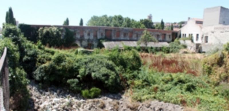 Zona de “El Soto”