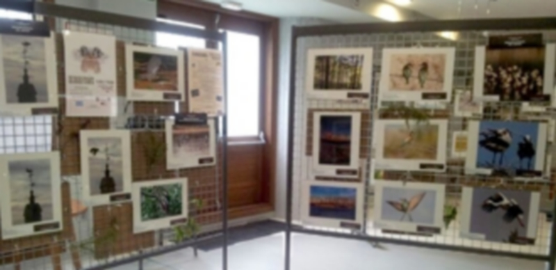 La exposición se puede visitar los viernes