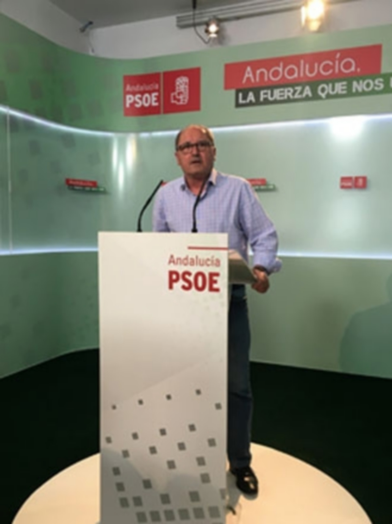 El PSOE de Andalucía defiende la abstención para que haya gobierno 1 El secretario de Organización del PSOE en Andalucía