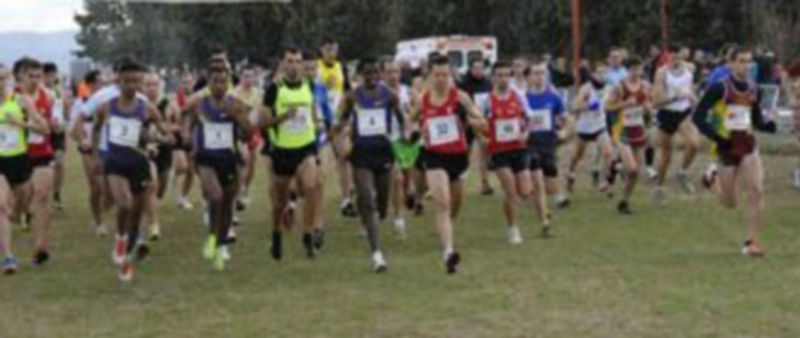 Imagen de la salida de la prueba senior-promesa masculina de la trigésimo novena edición del Cross Nacional de Cantimpalos