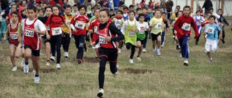 Imagen de una carrera de cross del año pasado de Deporte Escolar. / Juan Martín