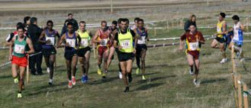 Un grupo de corredores