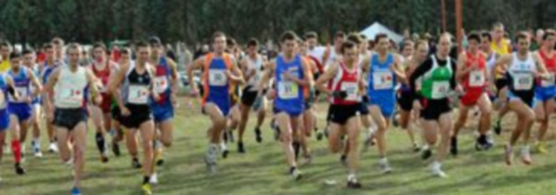 Momento de la carrera masculina de la pasada edición del Cross de Cantimpalos. / kamarero