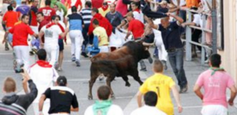 Otro peligroso encierro deja tres heridos graves 1 Cada novillo hizo el recorrido de forma independiente. / GABRIEL GÓMEZ