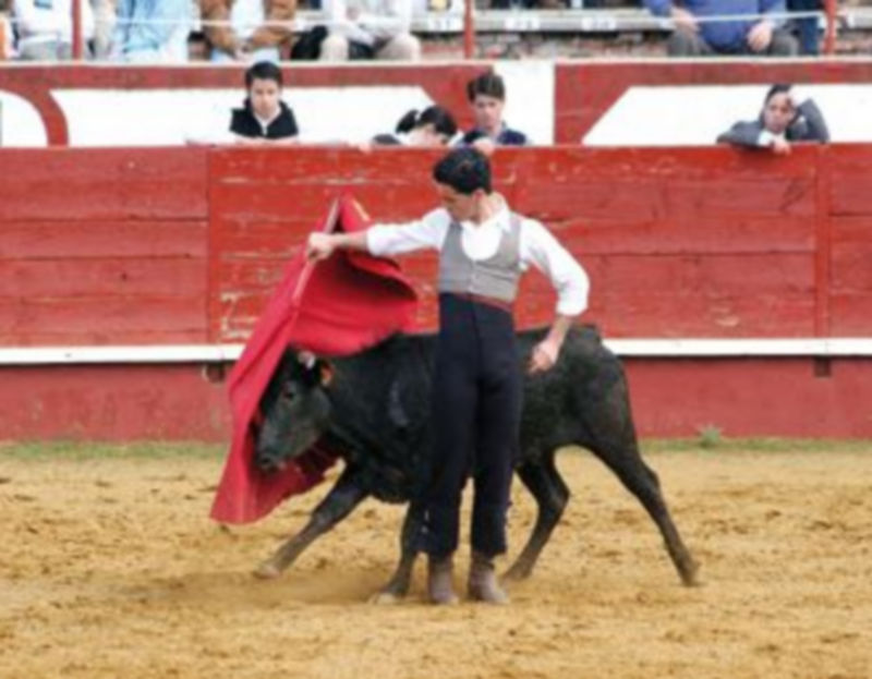 La peña taurina propone la celebración de un Bolsín Taurino Aniversario./gabriel gómez