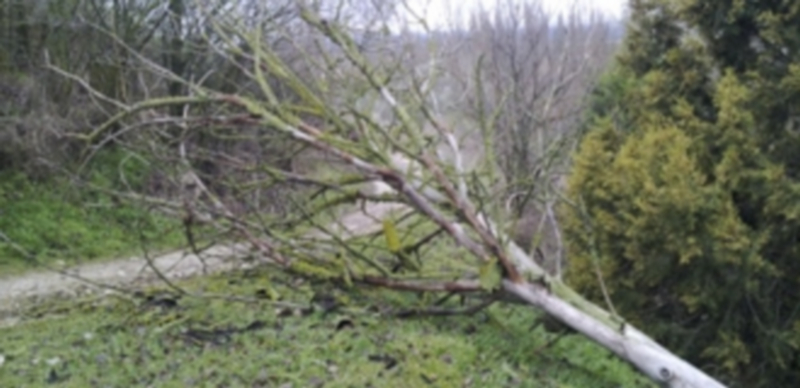 / Foto: Gabriel Gómez