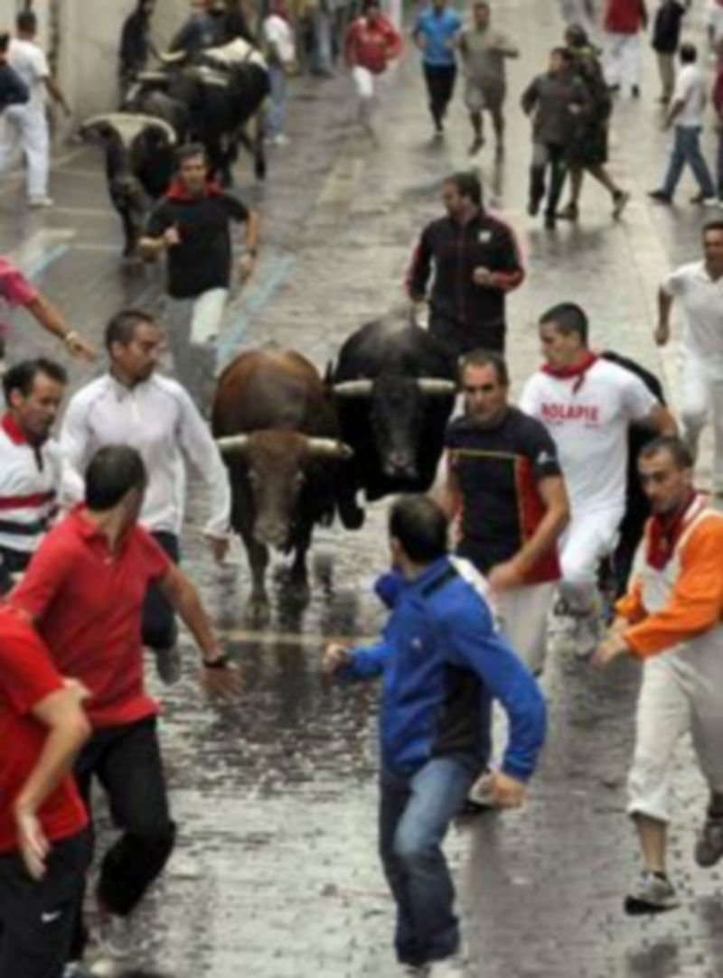 La lluvia ha protagonizado el cuarto y último encierro de las fiestas de Cúellar./ FOTOS: GABRIEL GÓMEZ Y JUAN MARTÍN
