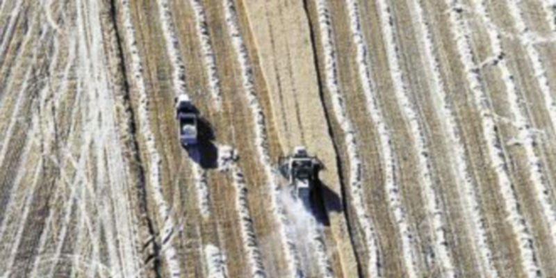 Dos agricultores cosechan en Tierra de Campos. / Ical