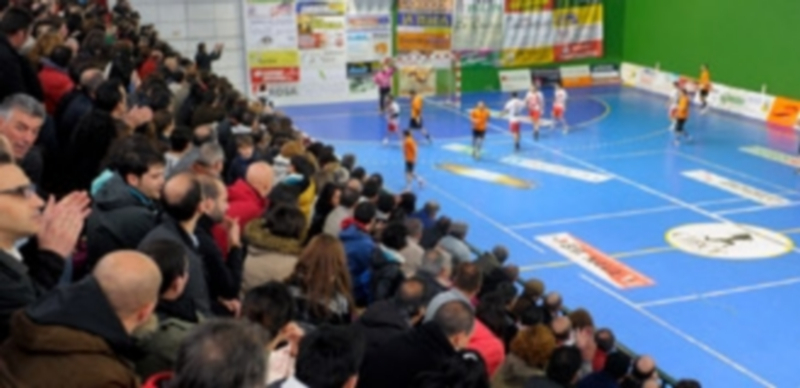 Imágen de un partido de Viveros Herol Balonmano Nava celebrado en el pabellón navero durante la presente temporada